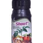 Shoot